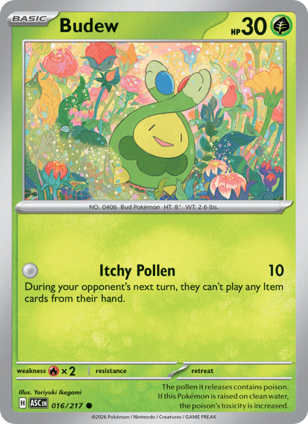 Budew #016
