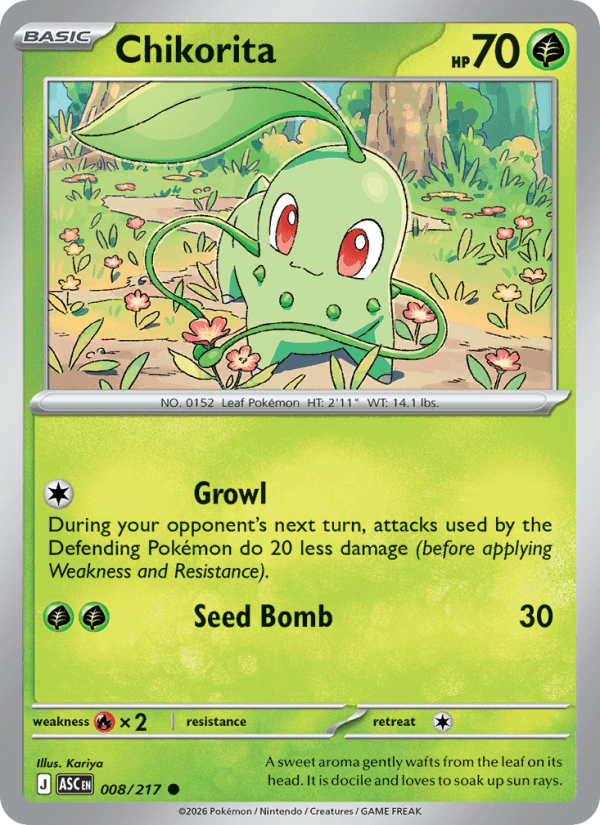 Chikorita #008