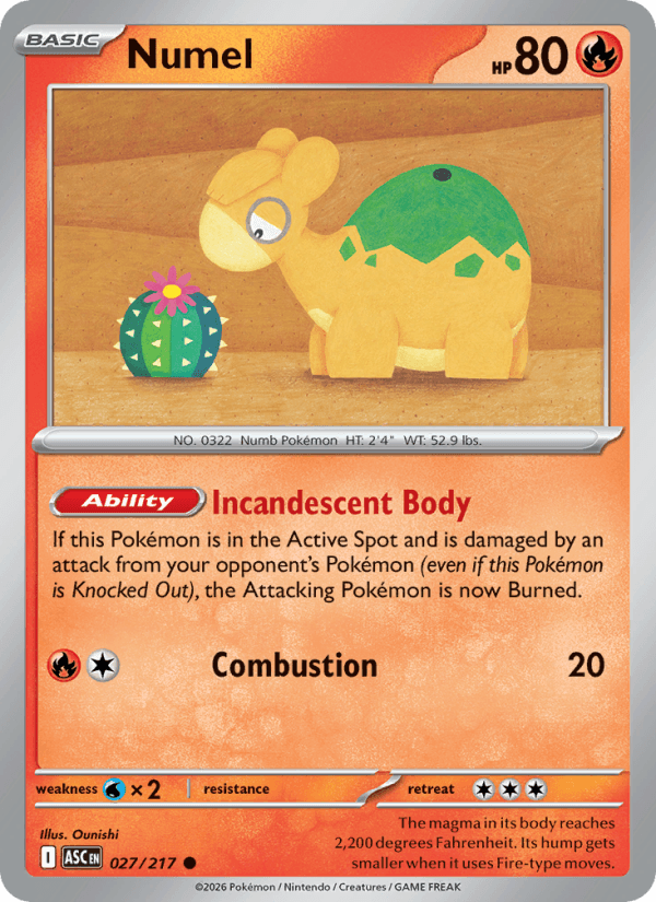 Numel #027
