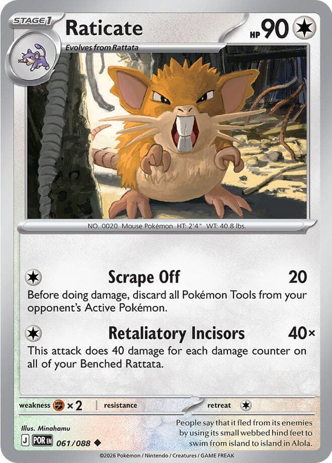 Raticate #061