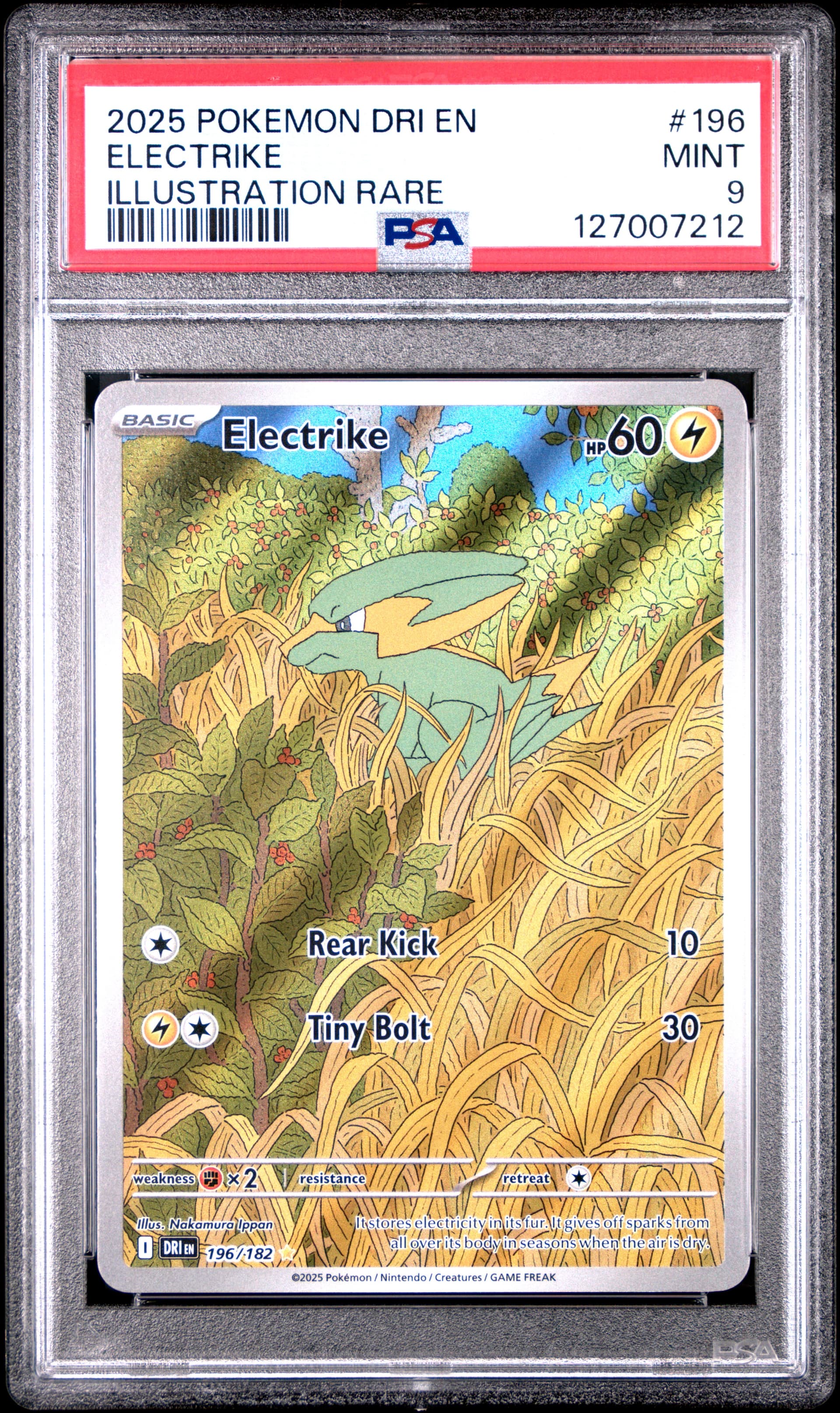 #196 ELECTRIKE ILLUSTRATION RARE DRI PSA 9